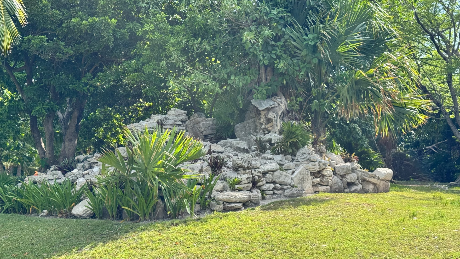 Weathered Maya stones among palms and tropical plants