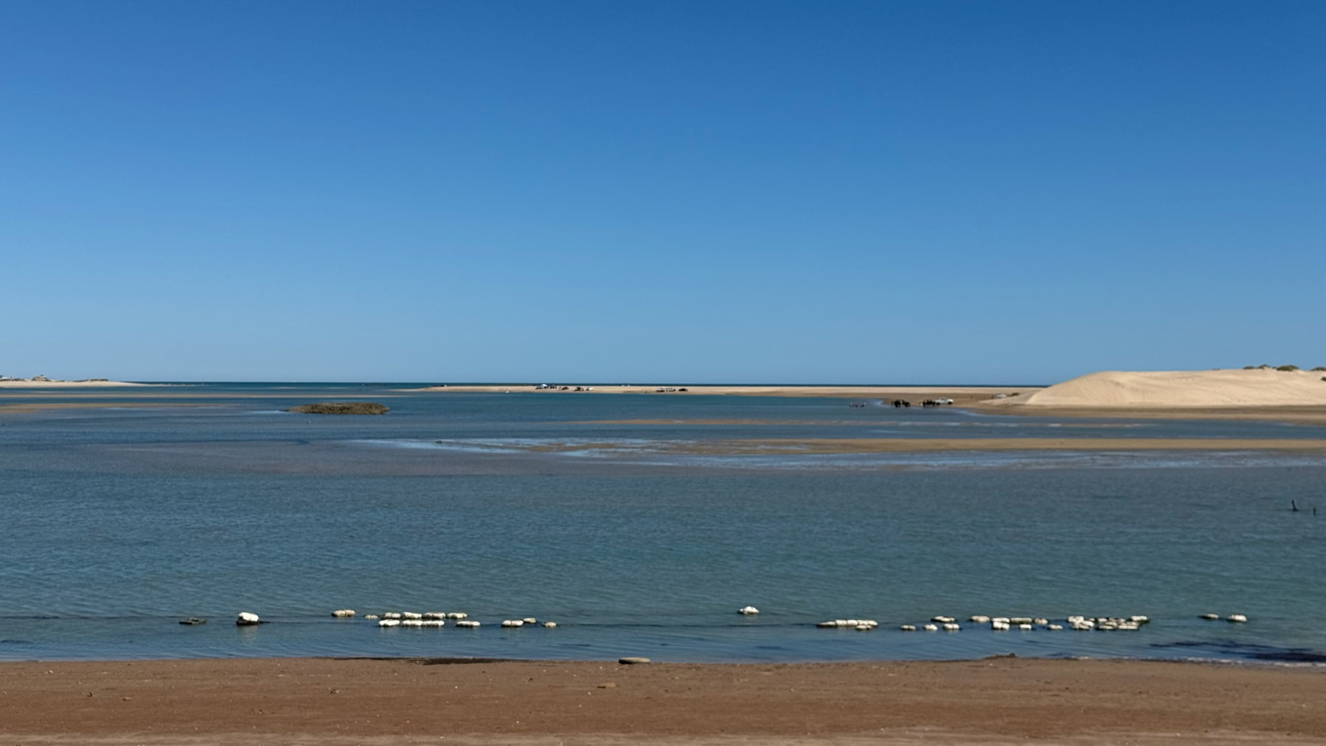 Calm blue estuary with sandbars under a cloudless sky