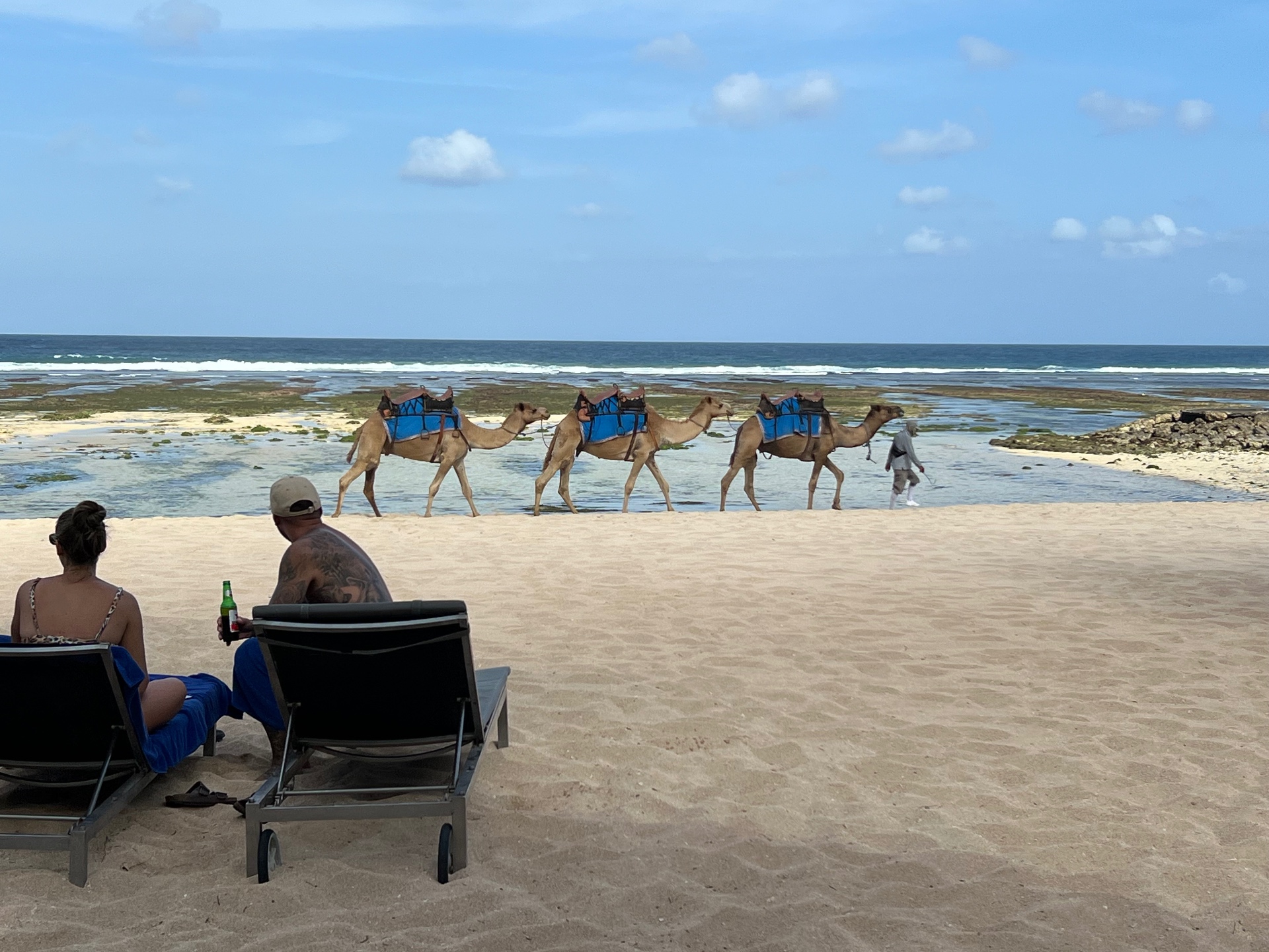 Camels led along the Nusa Dua shoreline while guests relax on beach loungers
