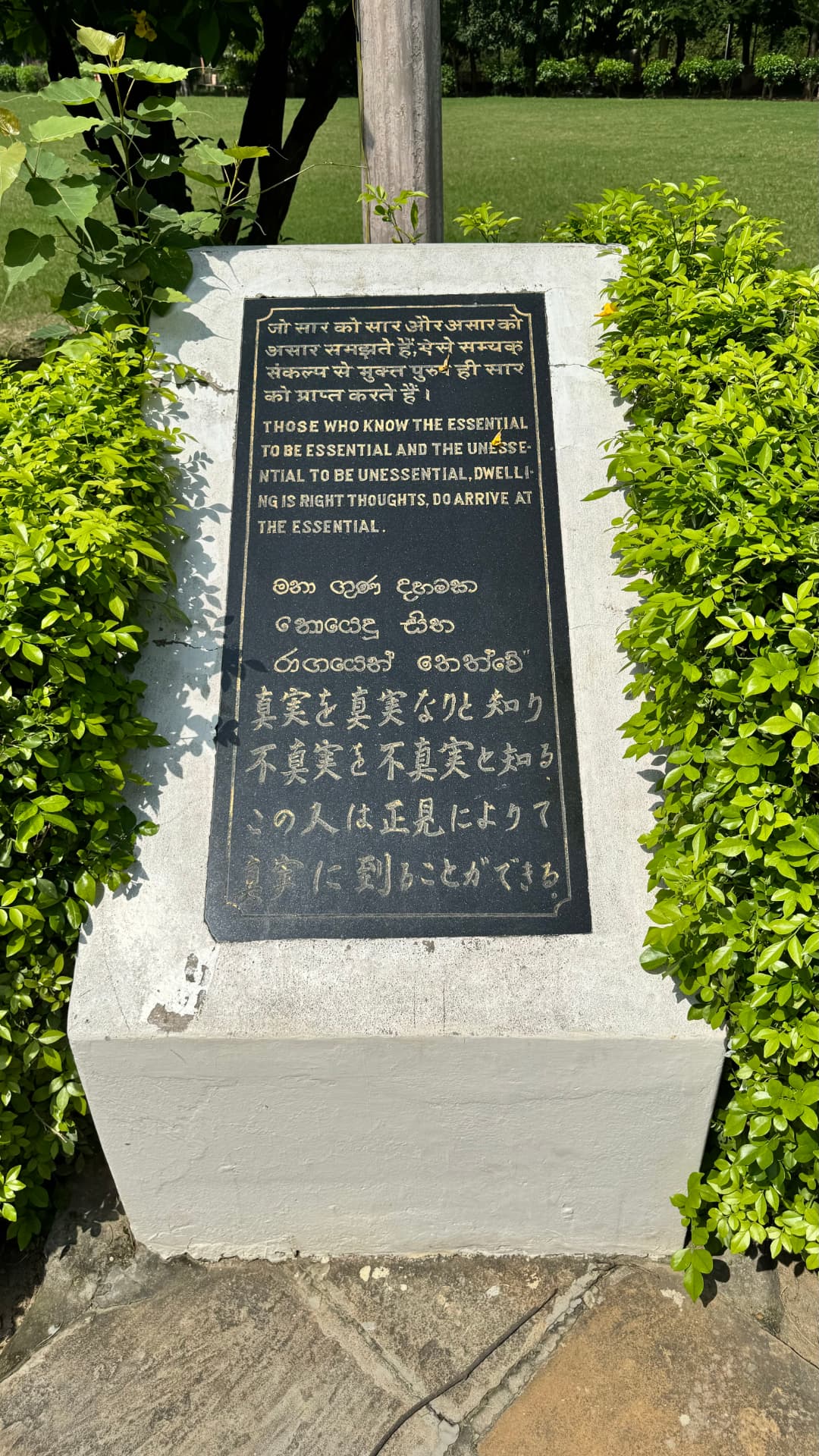 An inscribed memorial stone stands among the garden’s greenery. — Sarnath, Uttar Pradesh, India.