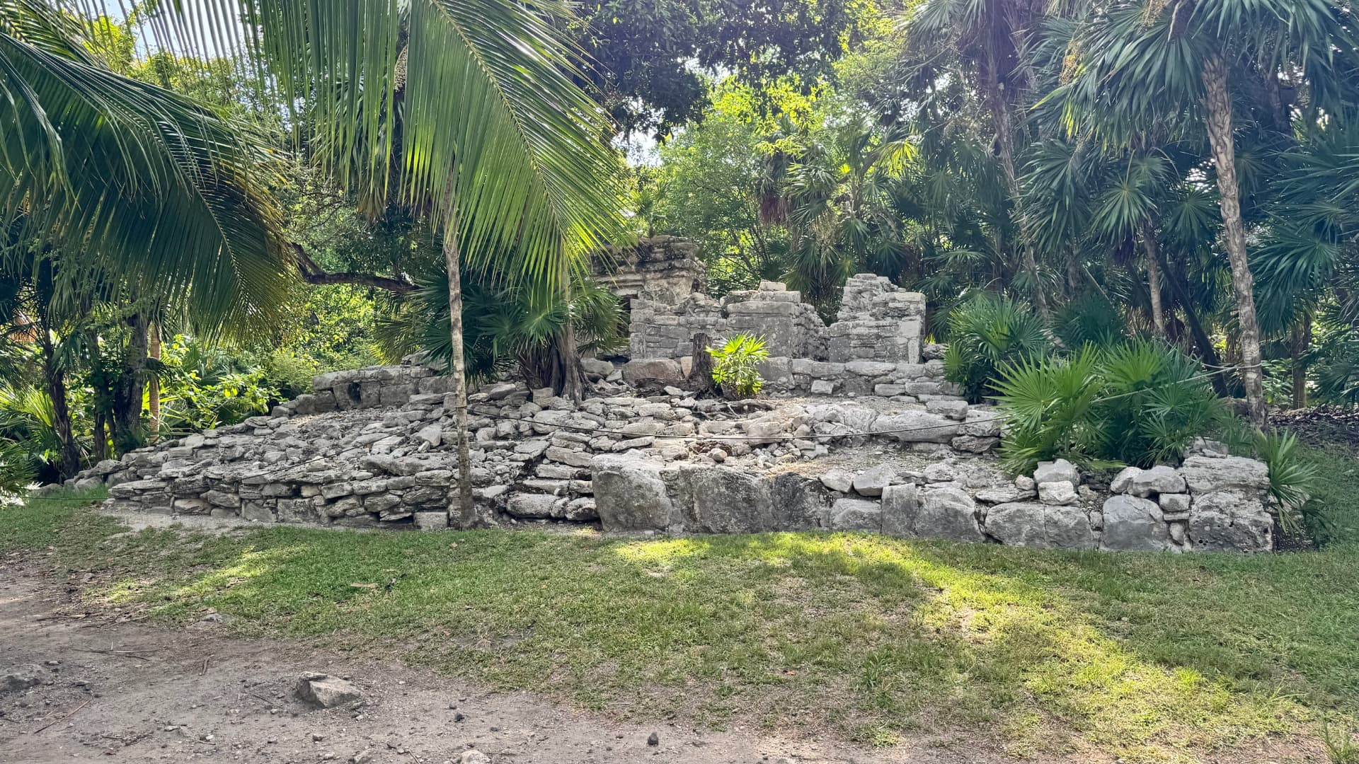 Maya wall remains surrounded by dense jungle