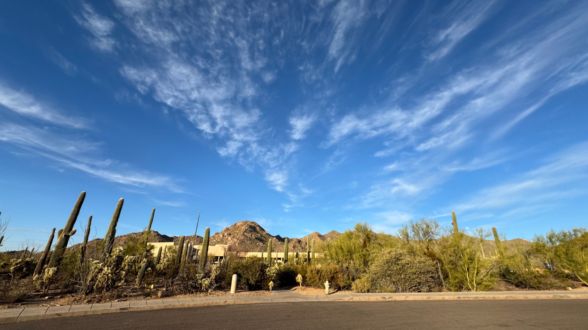 Saguaro National Park and Tucson travel photograph 56