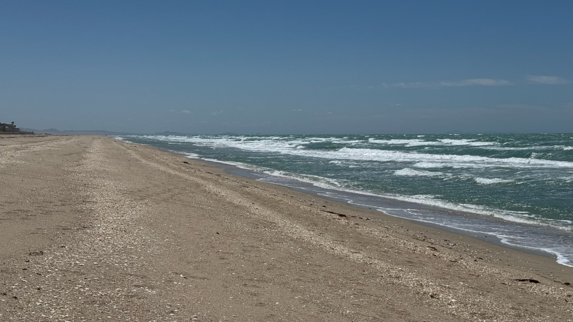 Long shell-strewn beach and wind-driven waves