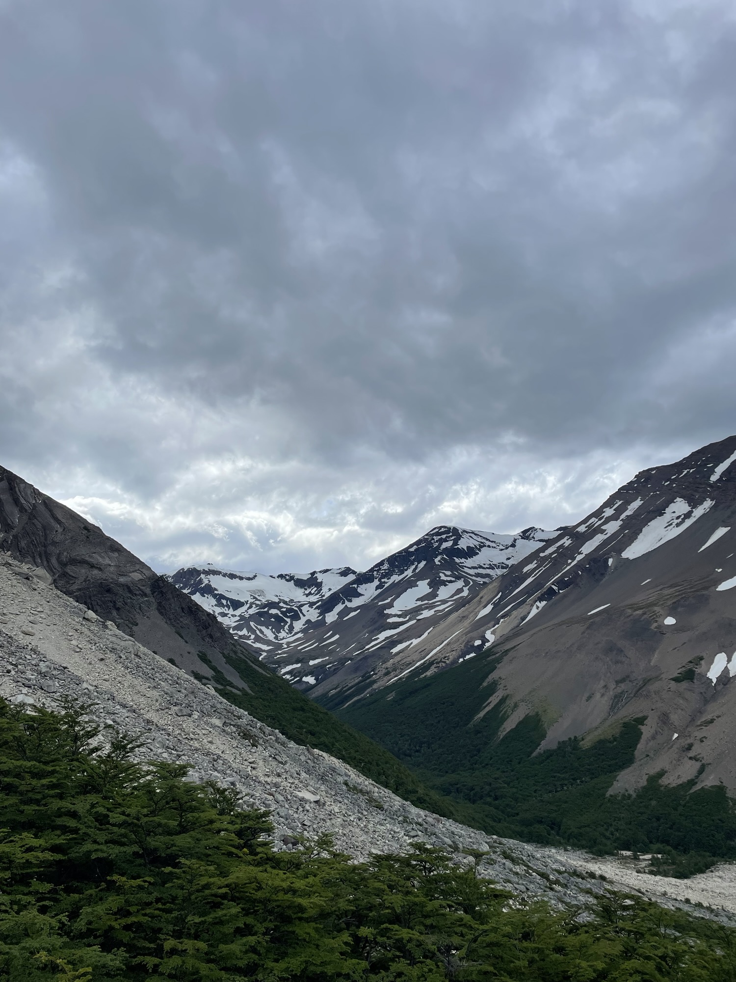 A wide glacial valley of scree and green forest leading toward snow-streaked mountains under a heavy grey sky