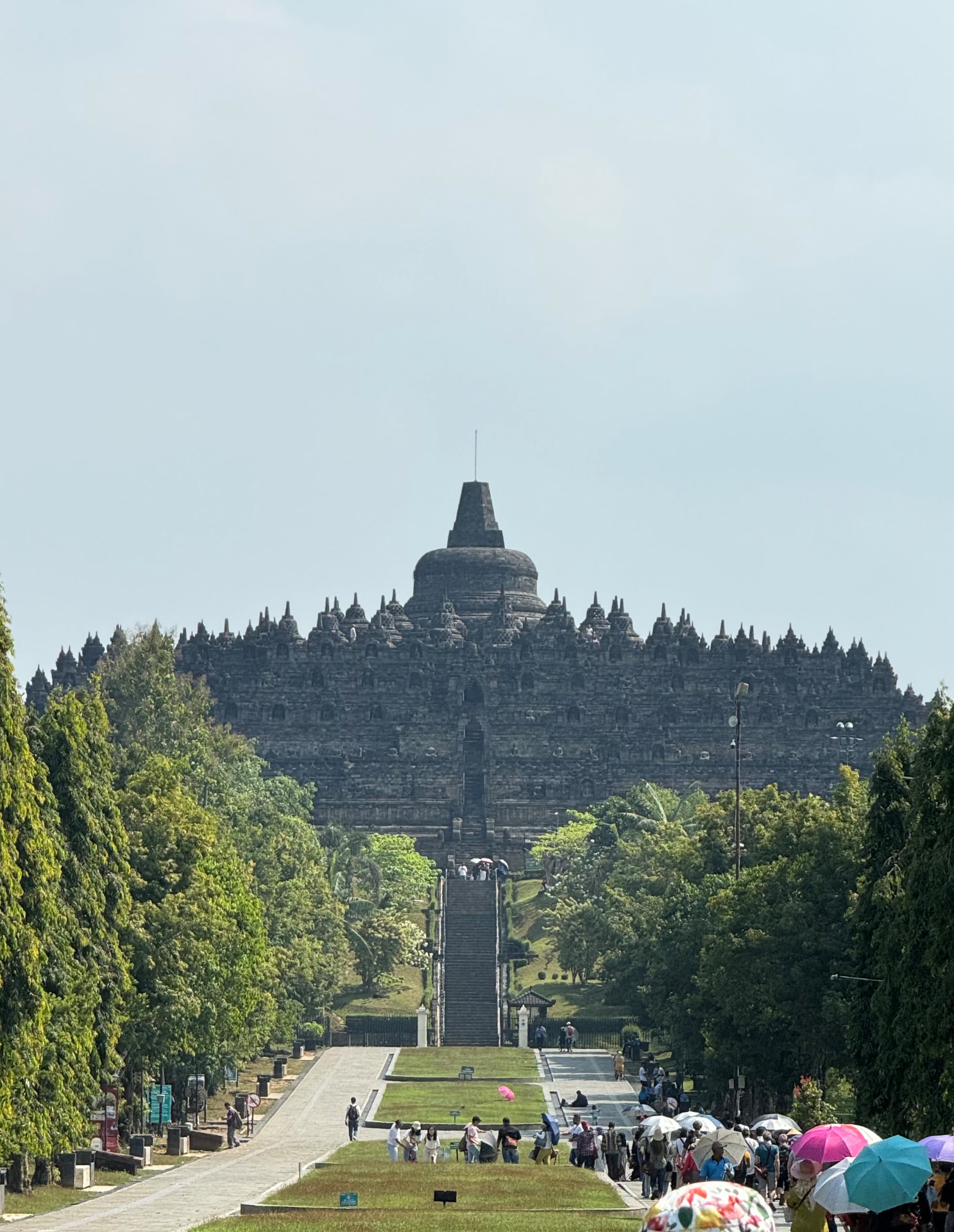 Borobudur rising above the long tree-lined approach