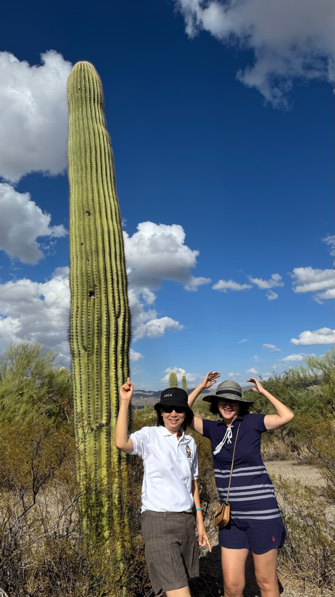 Saguaro National Park and Tucson travel photograph 16
