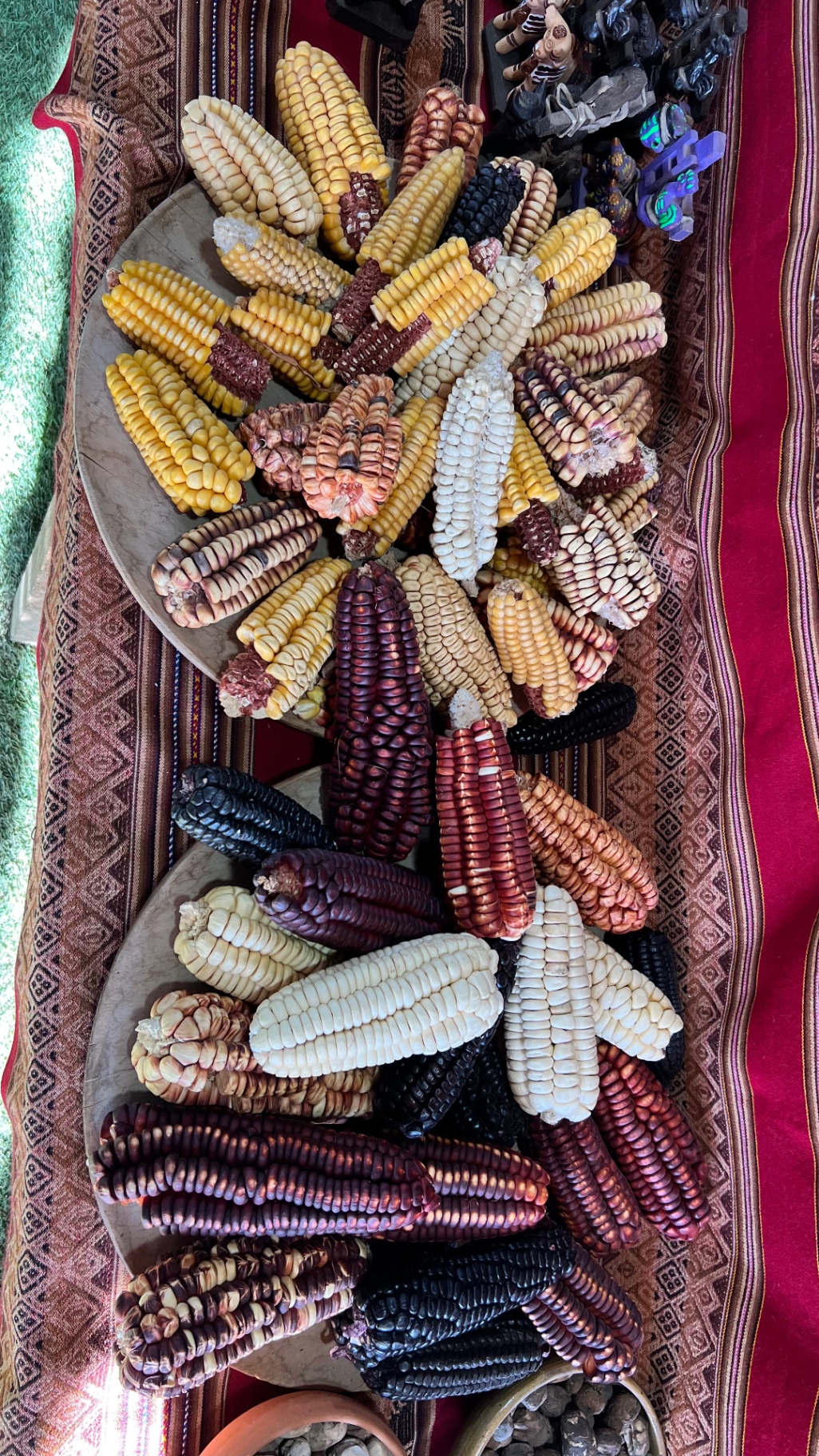 A woven display filled with colourful varieties of Andean corn