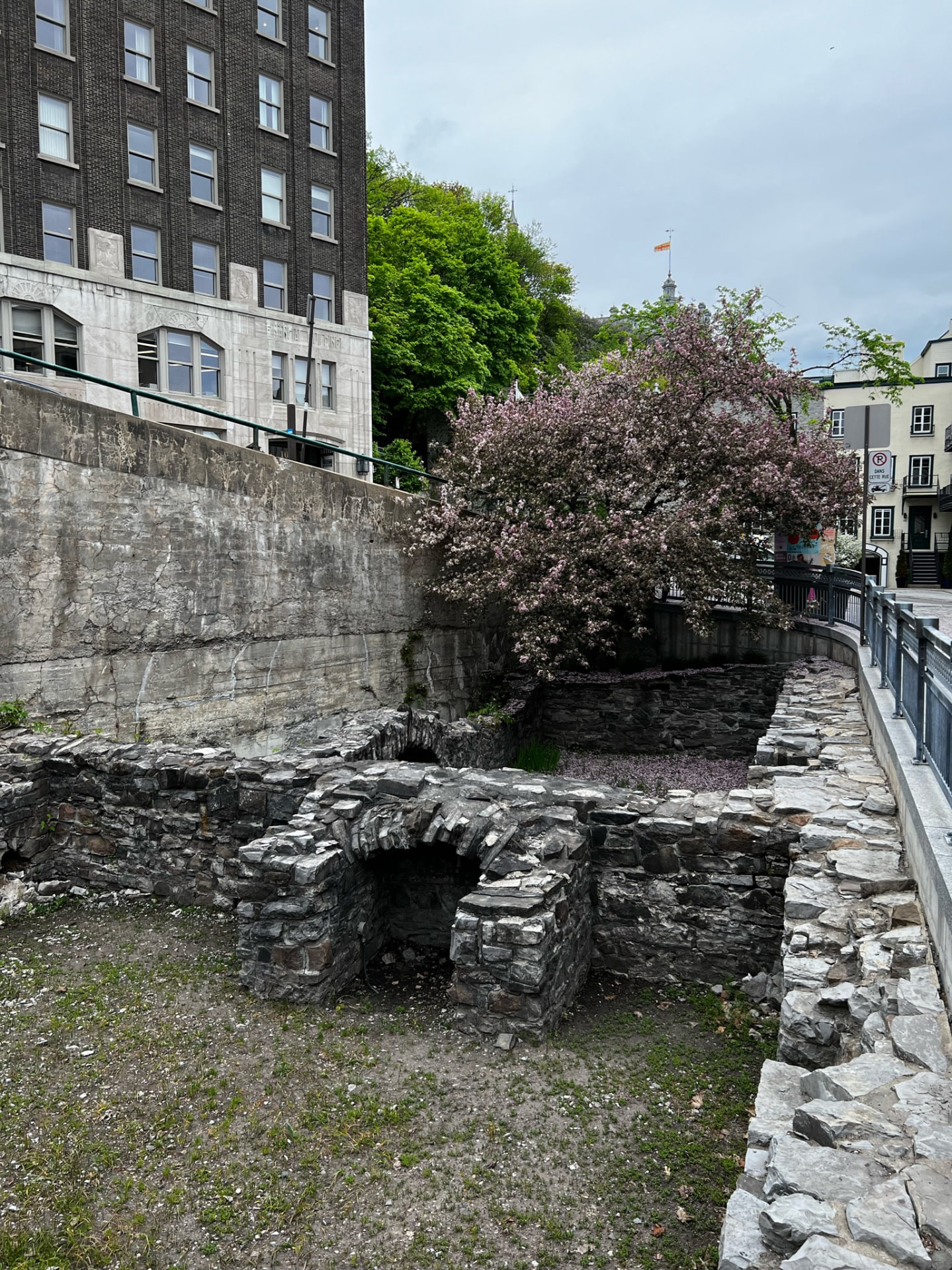 Stone ruins beside a flowering tree in Québec City