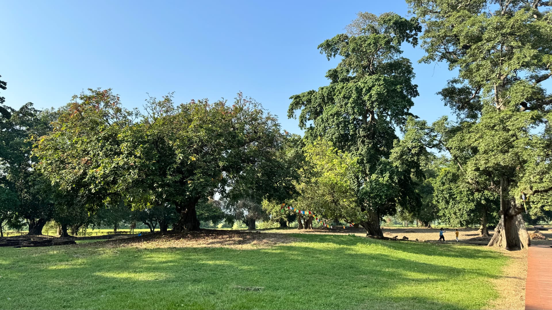 A quiet lawn and mature trees surround the ancient remains. — Sacred sites near Lumbini, Nepal.