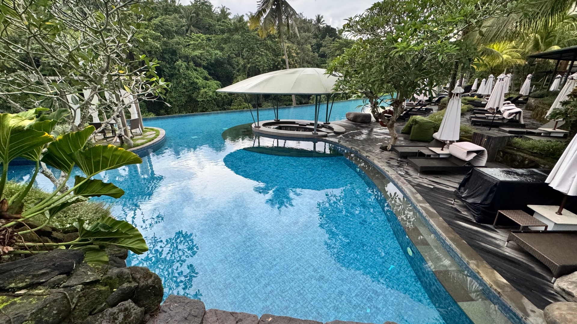 Curving blue infinity pool with a shaded pool bar, sun loungers and dense jungle beyond