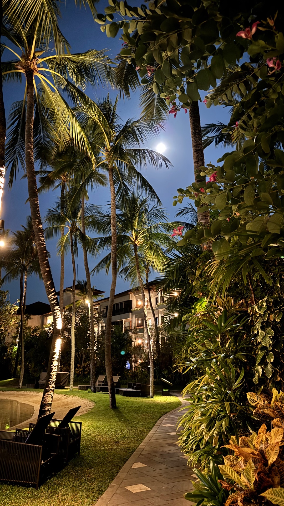 Moon shining through illuminated palms above a garden path