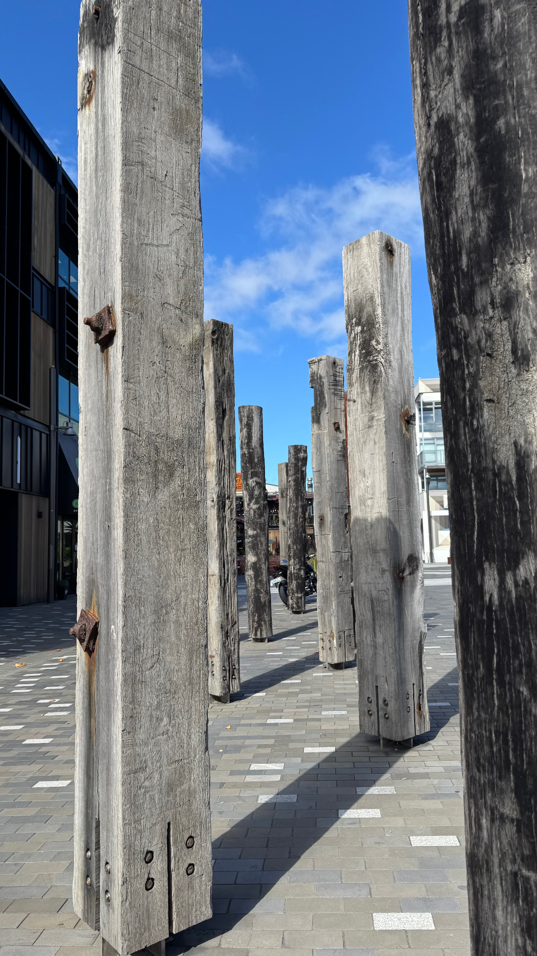 Weathered timber posts standing as a public art installation on a paved city walkway
