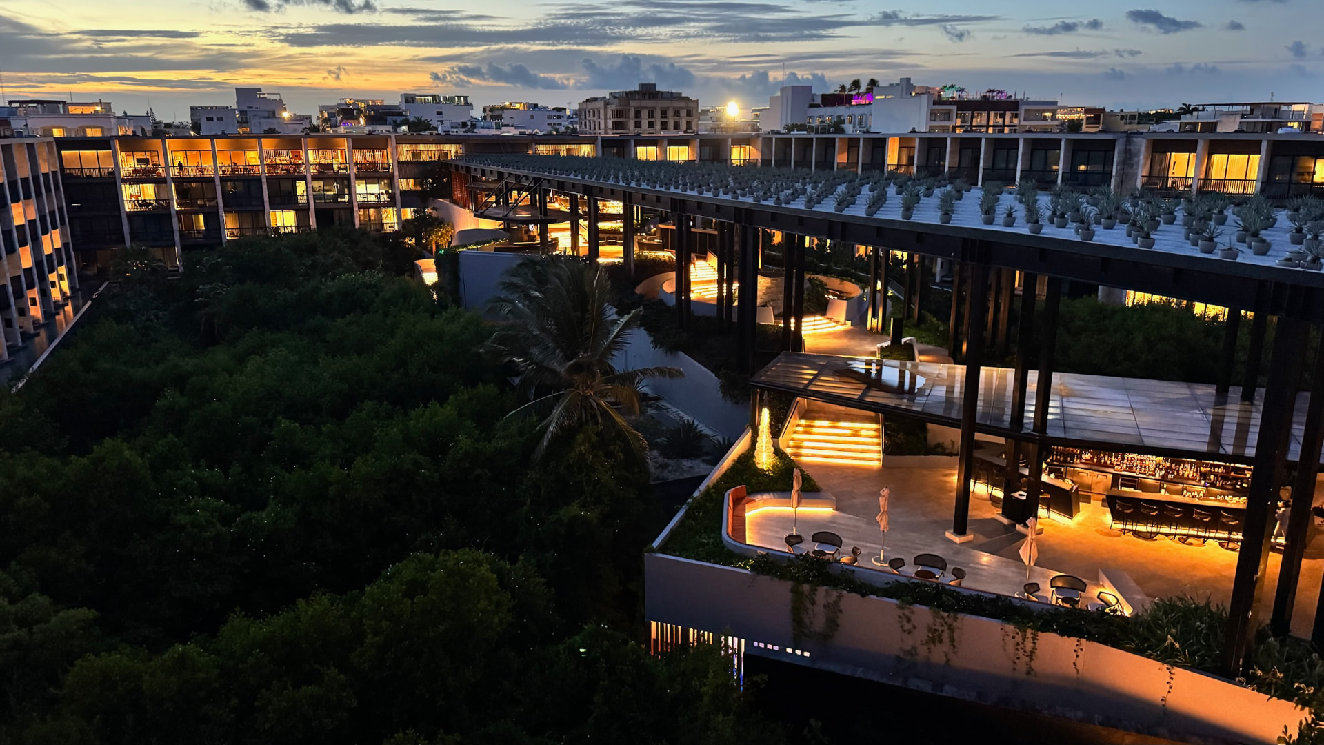 Resort terraces glowing at twilight above a mangrove canopy