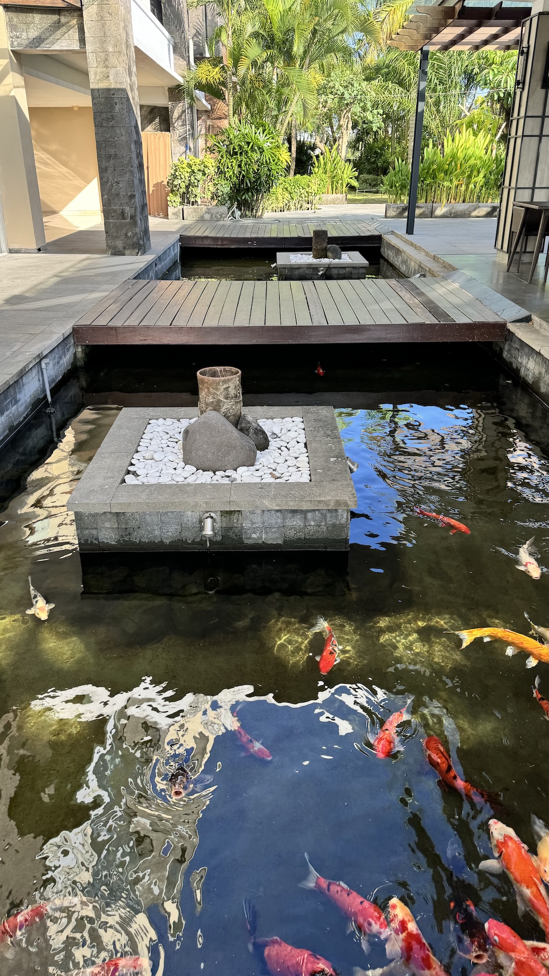 Koi pond with a stone fountain, timber deck and tropical planting