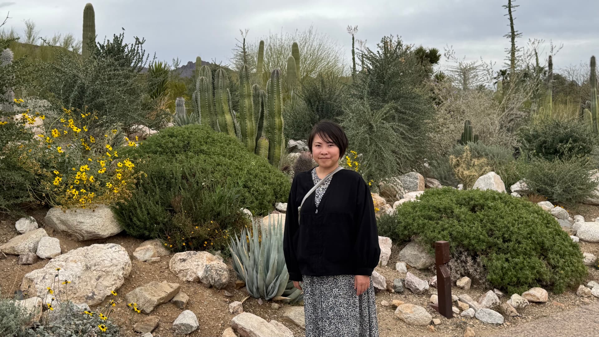 Saguaro National Park and Tucson travel photograph 26