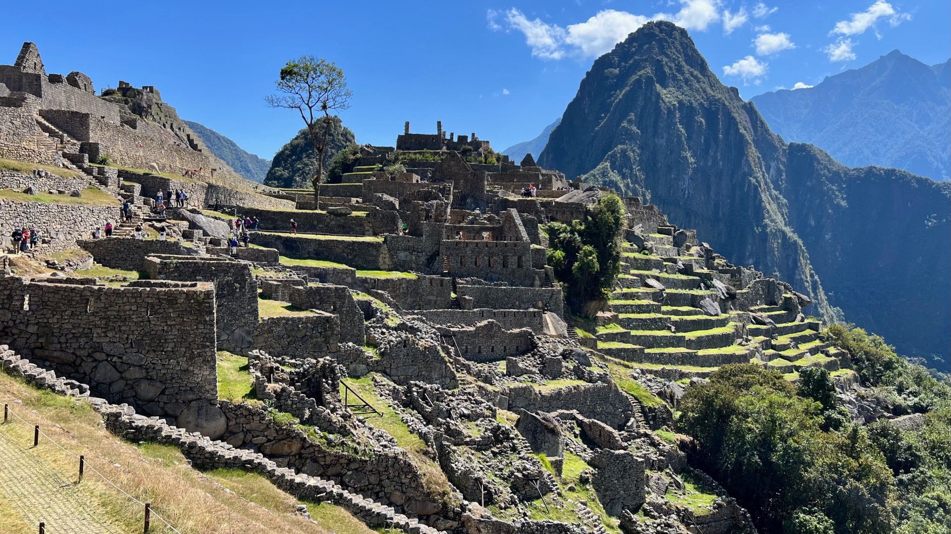 Sunlit terraces and buildings rising toward Huayna Picchu