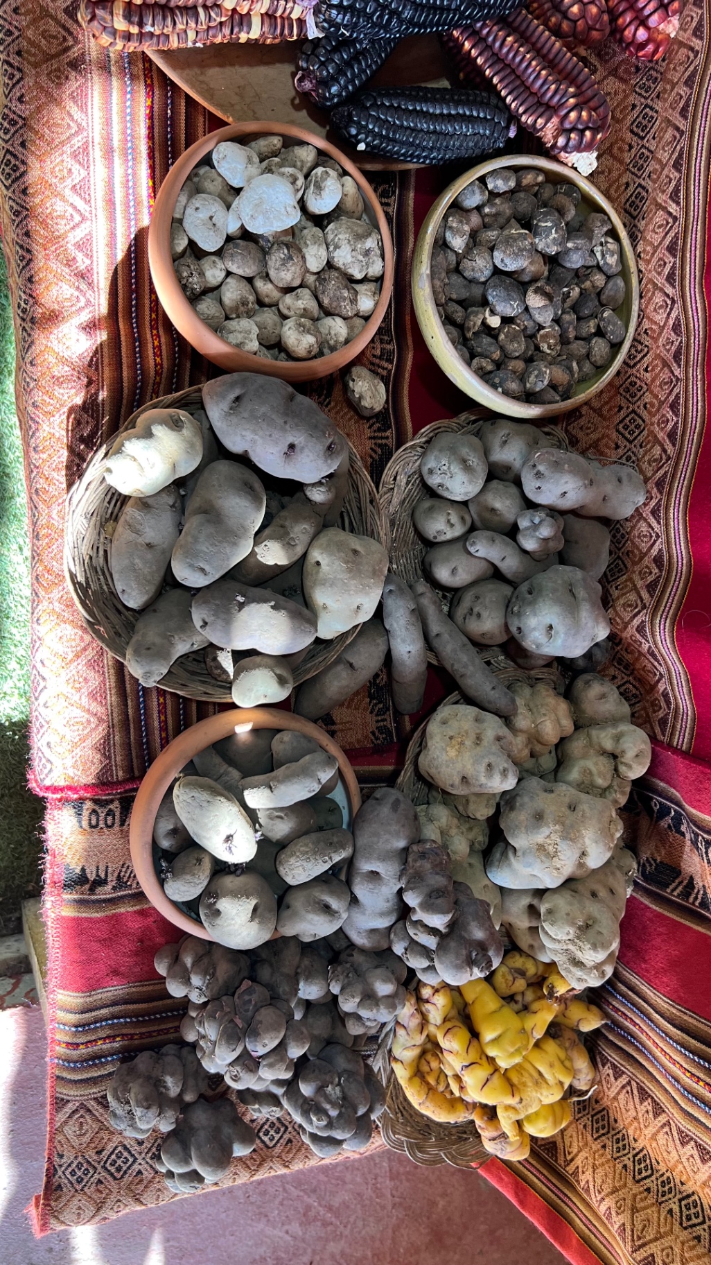 Traditional market display of grains, seeds, potatoes, and corn
