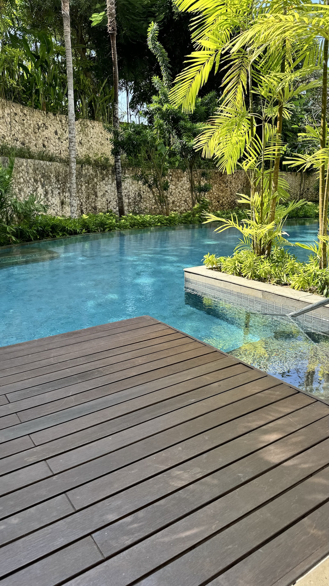 Curving blue pool surrounded by palms and a timber deck