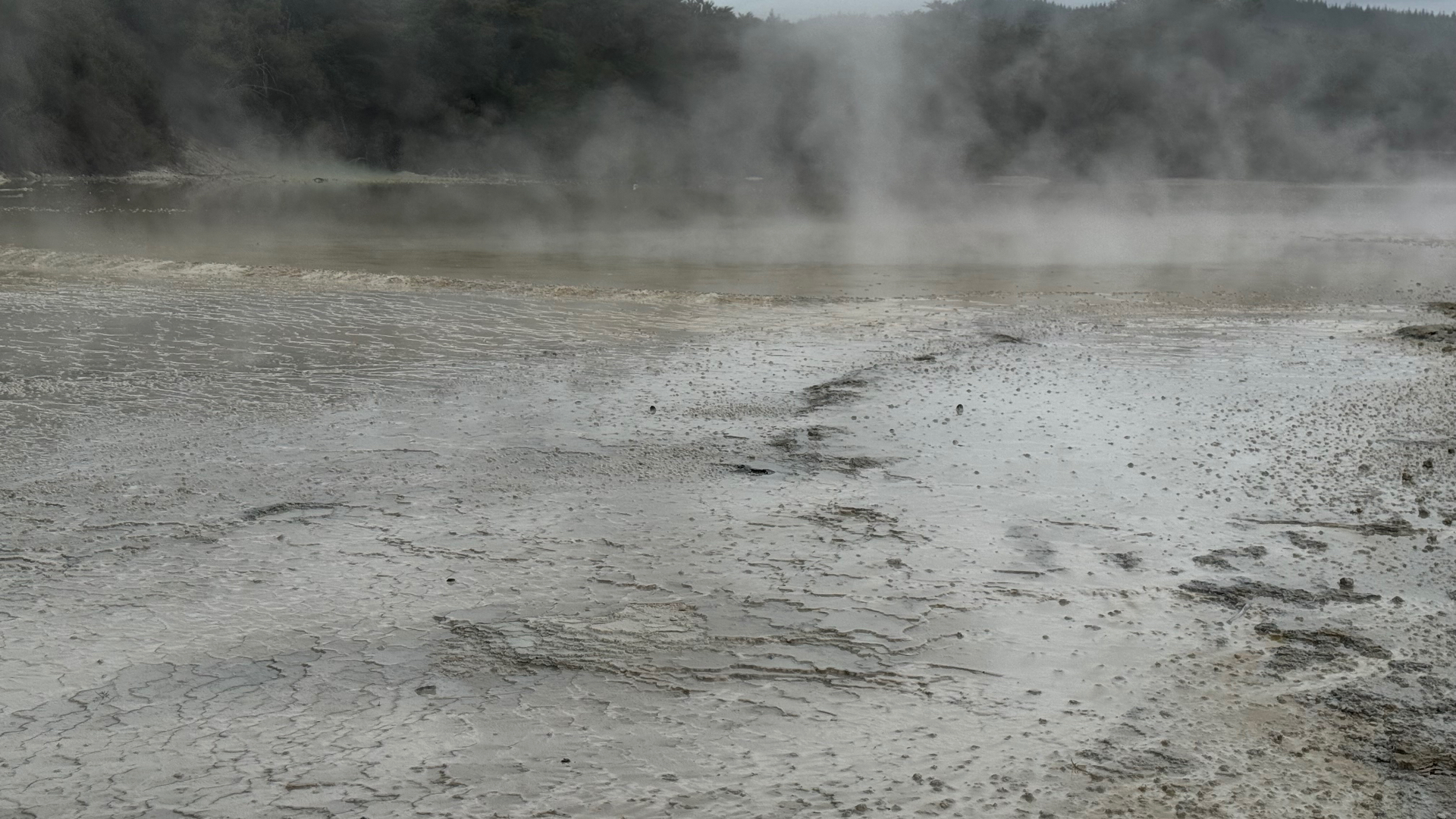 A wide grey silica terrace with steam lifting off the surface toward dark bush