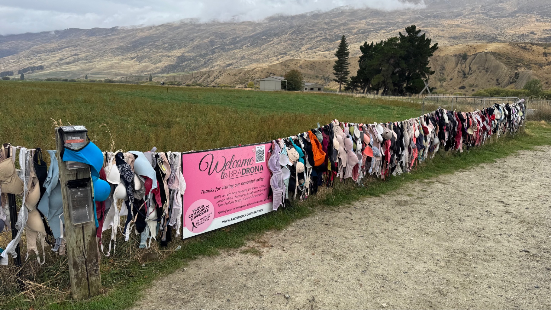 A long wire fence covered in hundreds of colorful bras stretching across a grassy field toward rolling hills