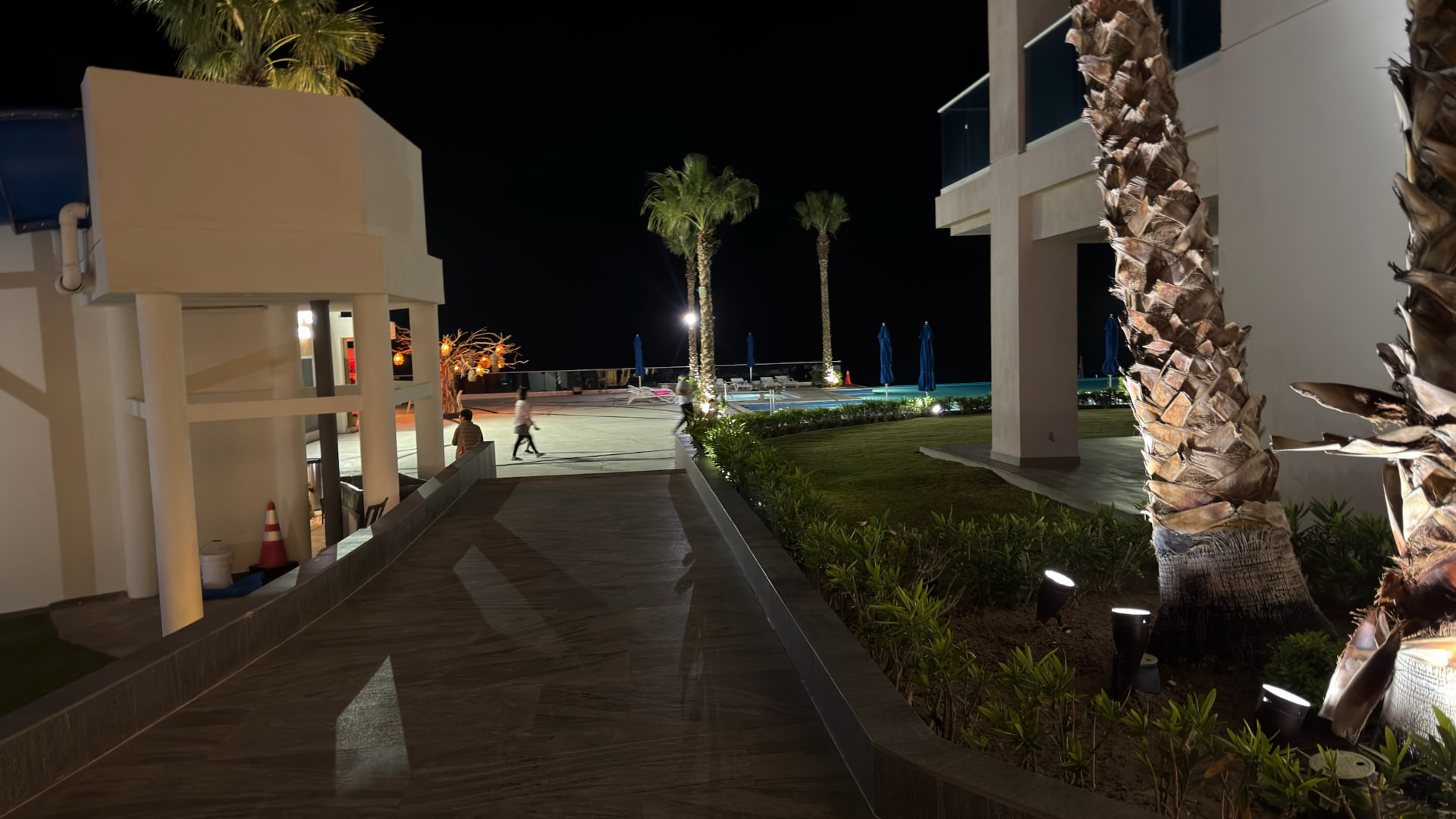 Palm-lined resort grounds illuminated at night