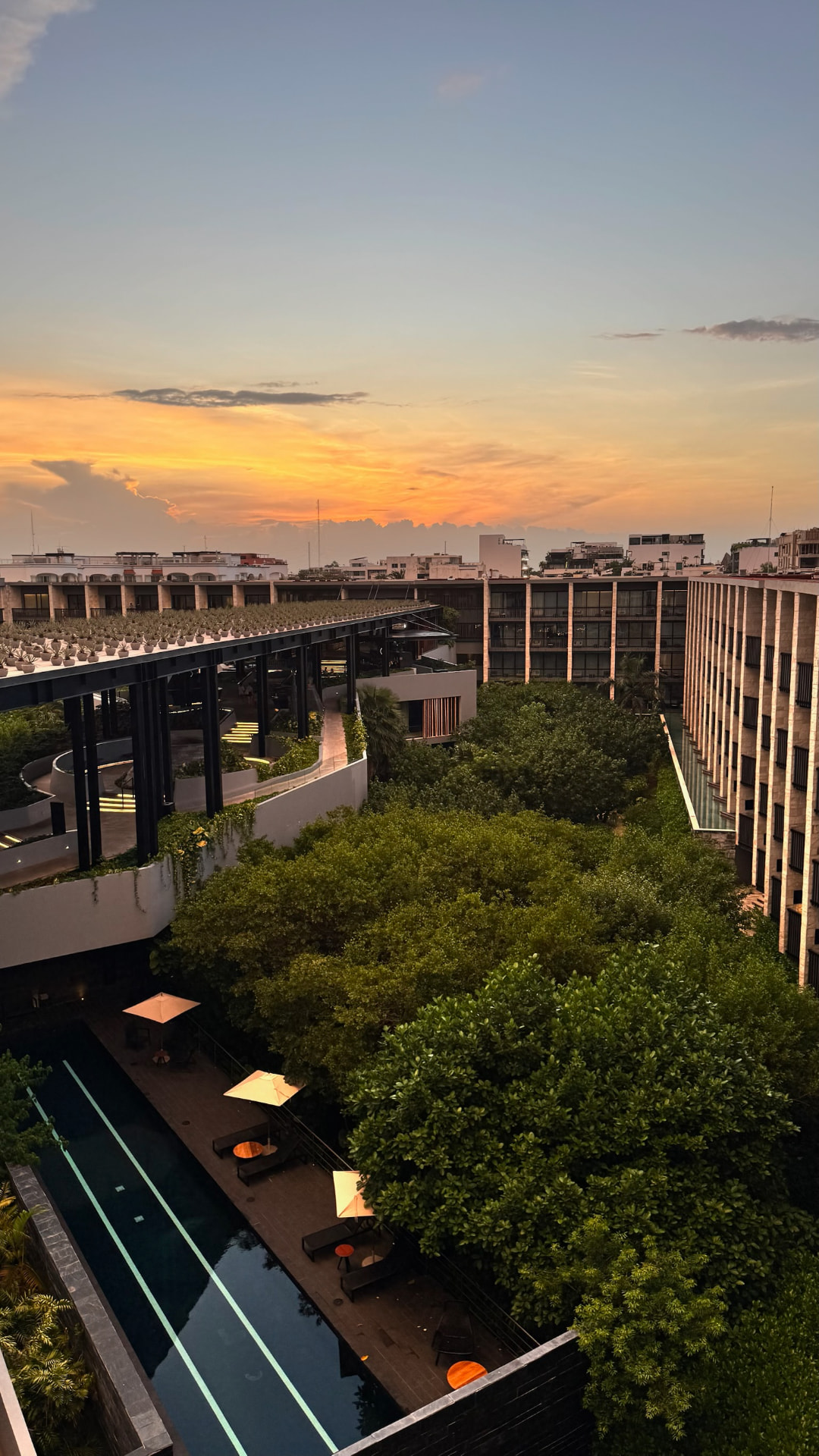 Sunset above a modern resort courtyard and mangrove canopy