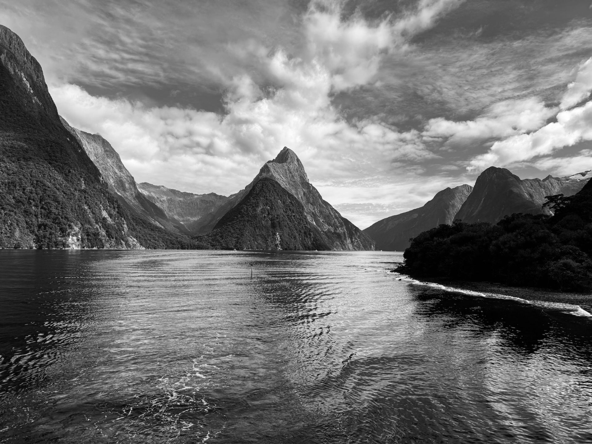 A black-and-white wide-angle view of Milford Sound, with Mitre Peak rising above steep forested cliffs under a cloudy sky
