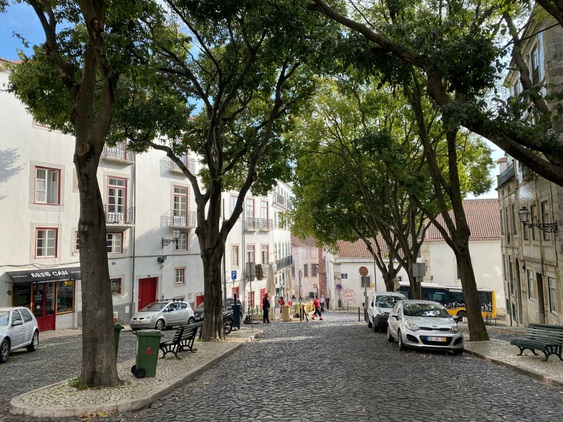 A quiet cobbled street lined with green trees and white houses