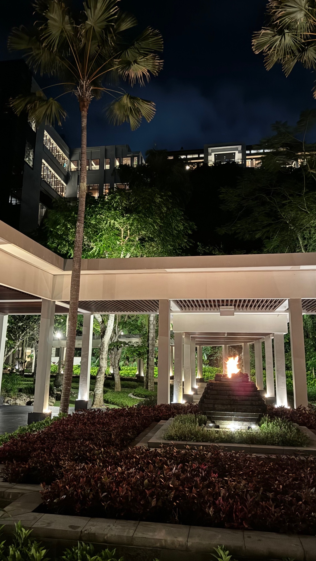 Palm-filled resort garden and fire feature illuminated at night