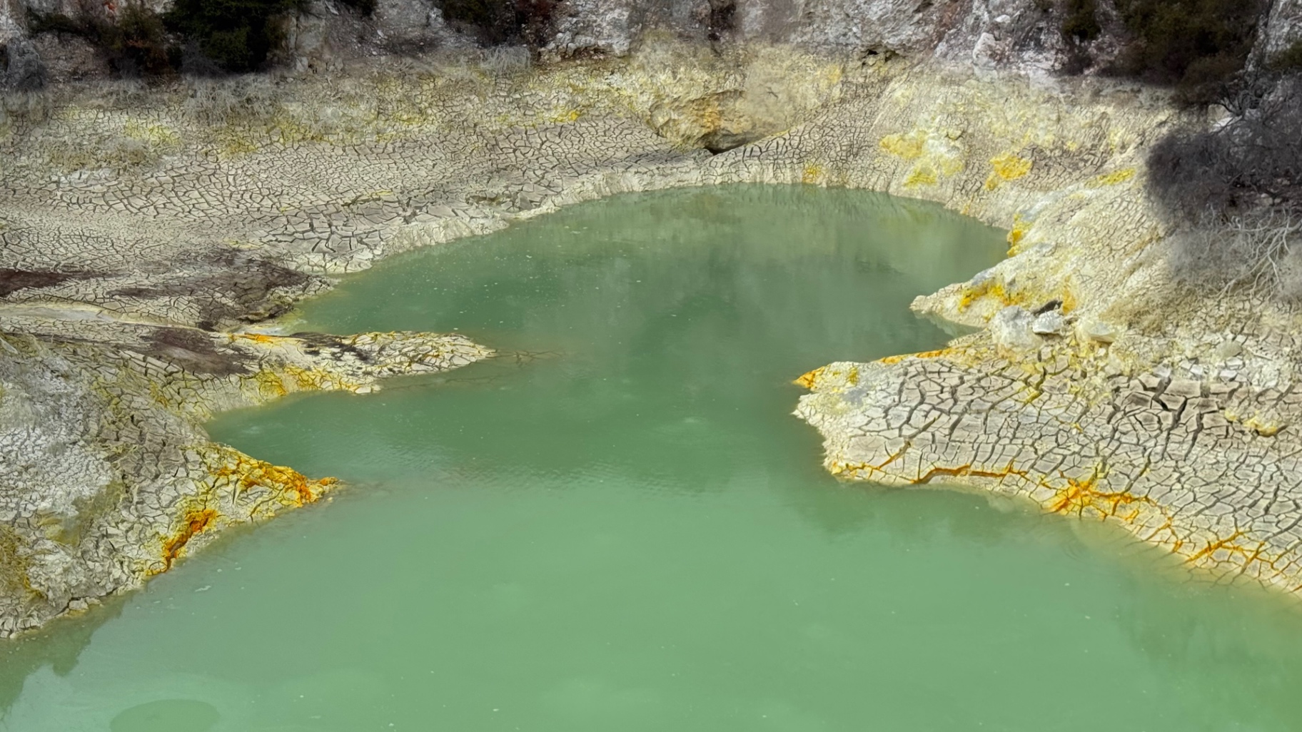 A green sulphur pool set in cracked pale crust with yellow mineral edges