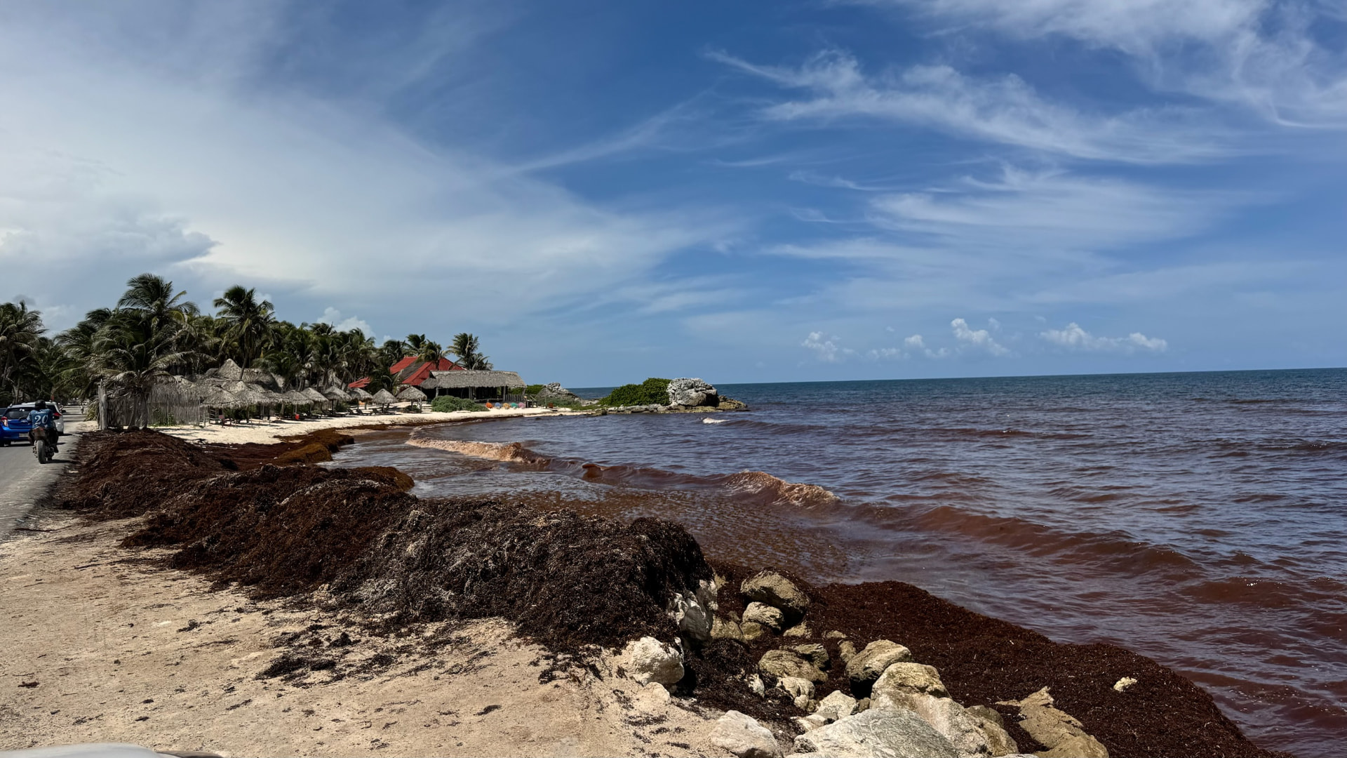 Sargassum gathered along a rocky Caribbean shoreline