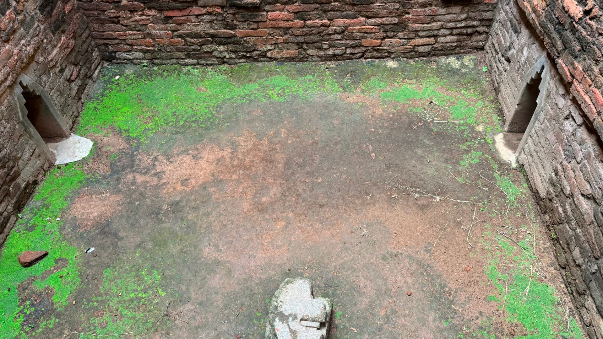Looking down into a brick-lined chamber with greenery along its floor. — Nalanda, Bihar, India · Patna chapter.