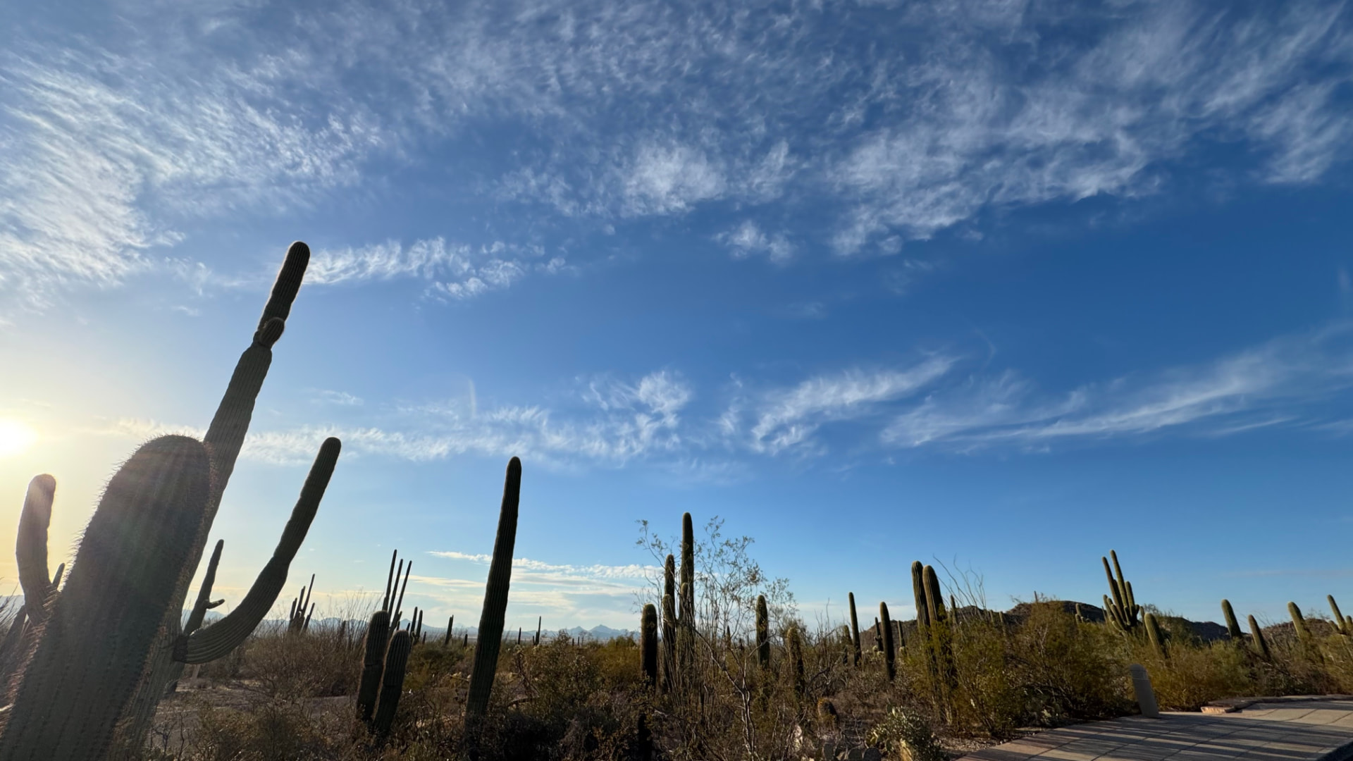 A wide Sonoran sky