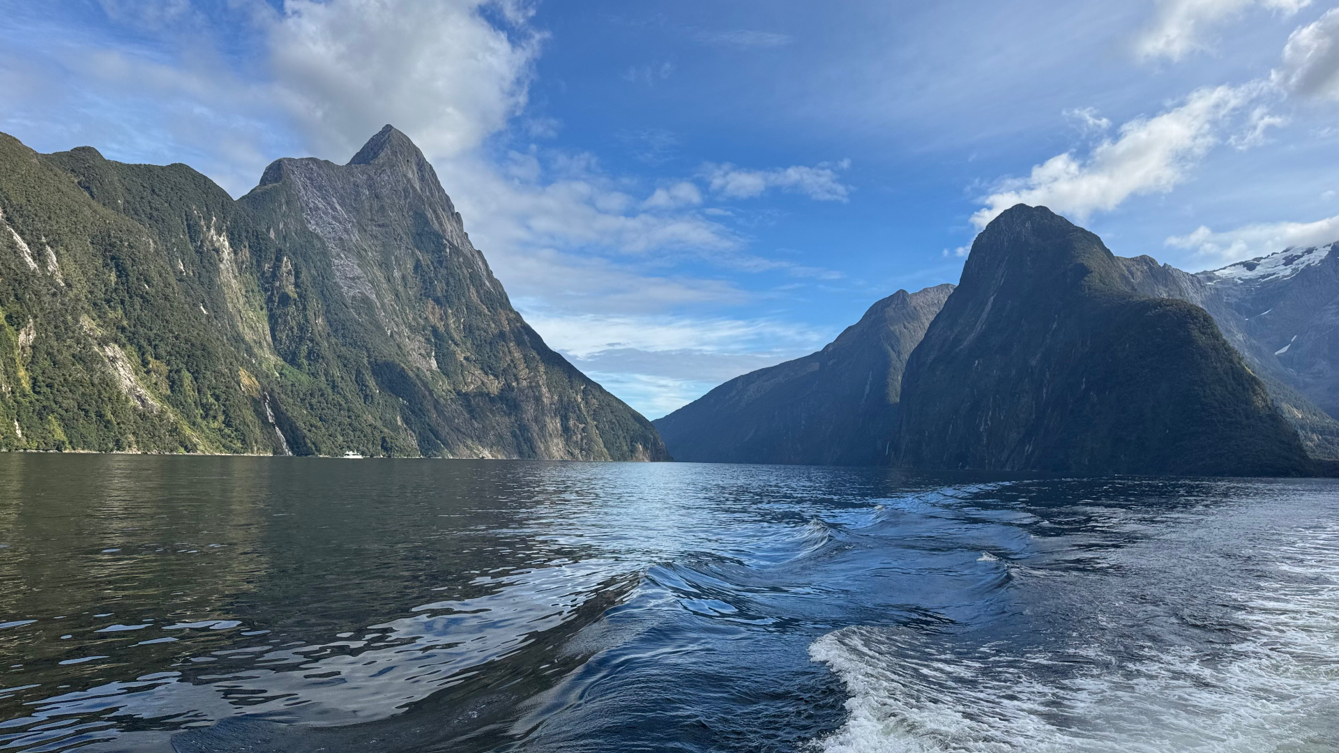 A view further into the fiord from a boat, with the boat's wake prominent and distant snow-capped peaks appearing behind green cliffs