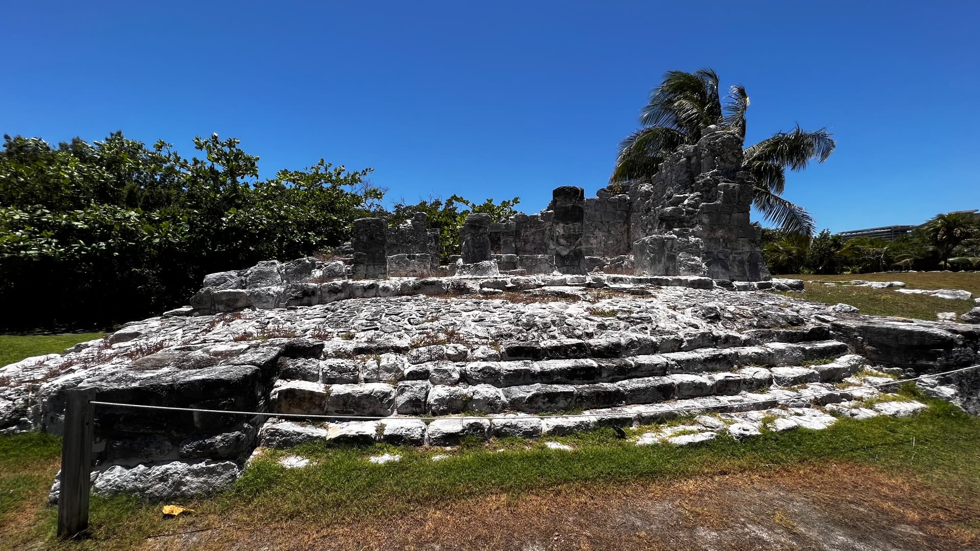 Stepped limestone ruin framed by palms