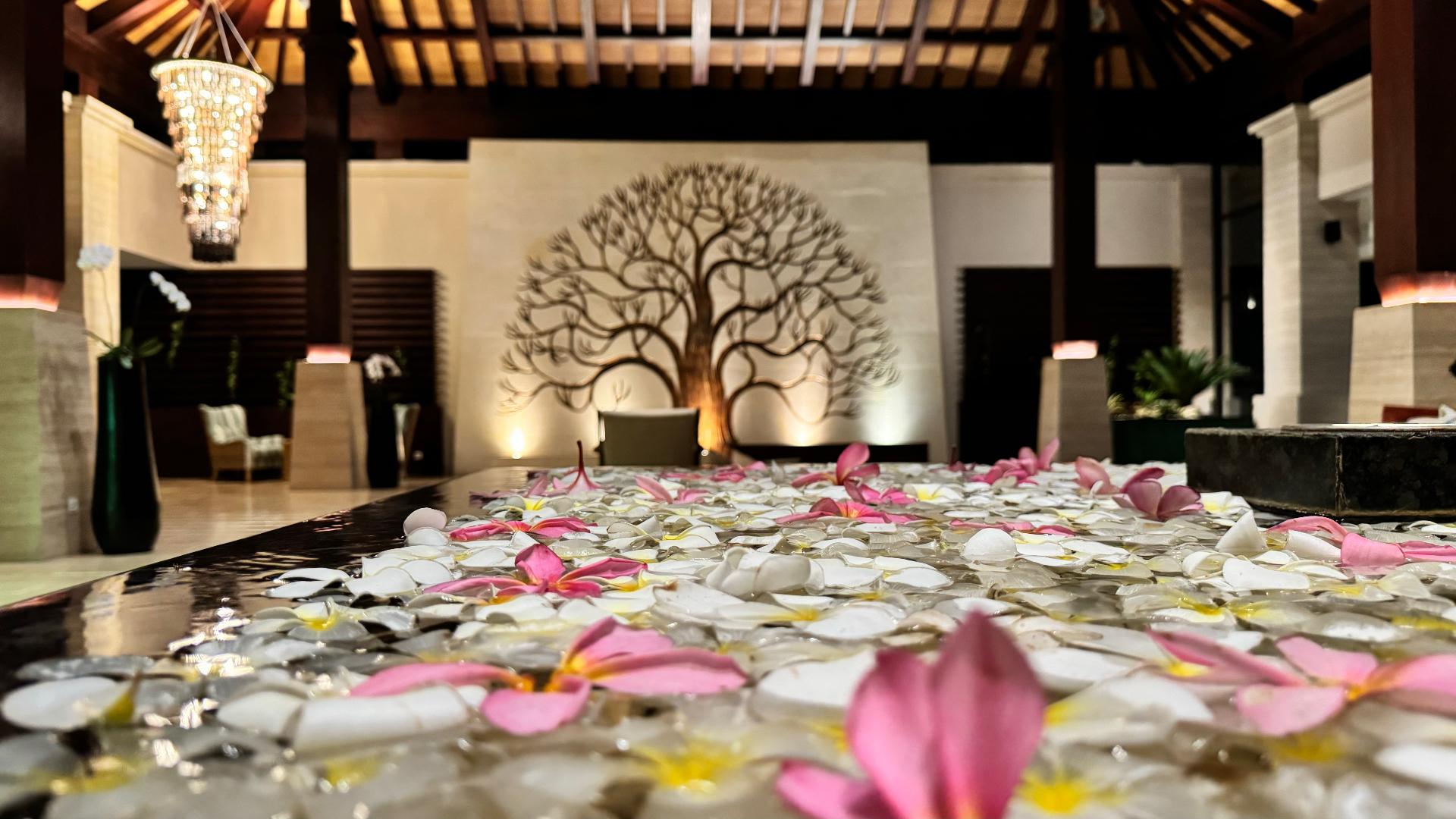 Pink and white flowers floating before an illuminated tree sculpture