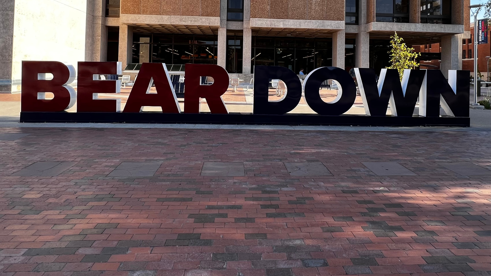 Bear Down, Tucson