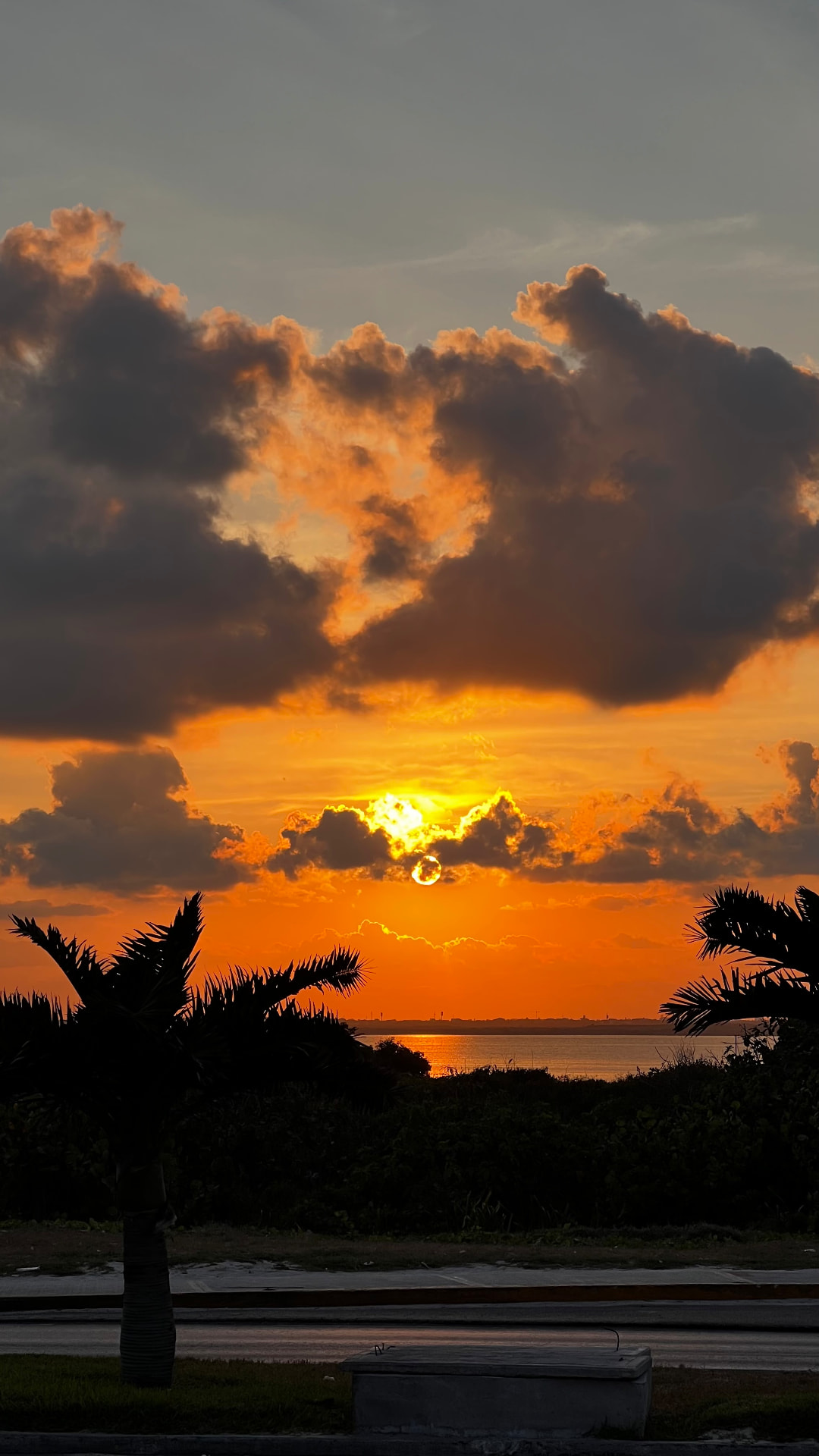 Orange sunset beneath dramatic clouds and palm silhouettes