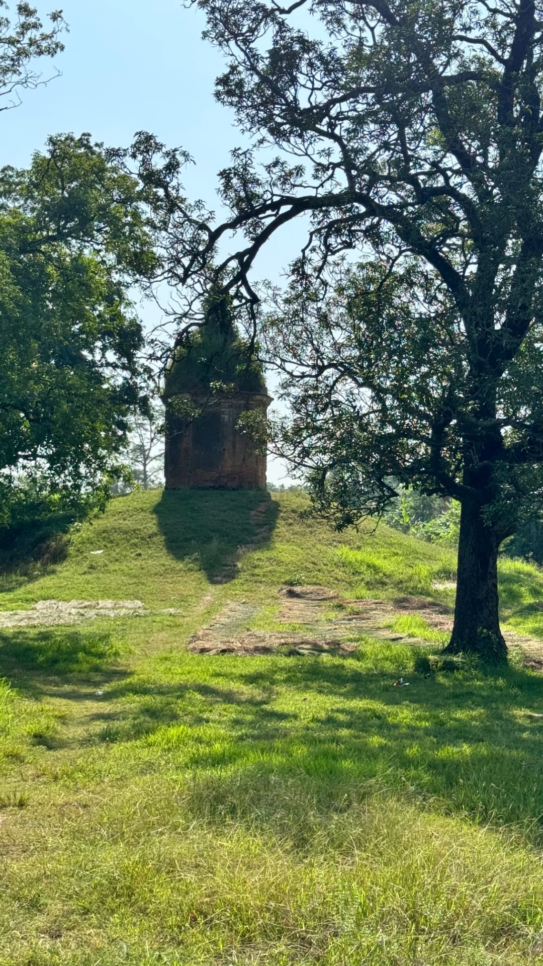A weathered stone monument stands in a shaded grassy clearing. — Sacred sites near Lumbini, Nepal.