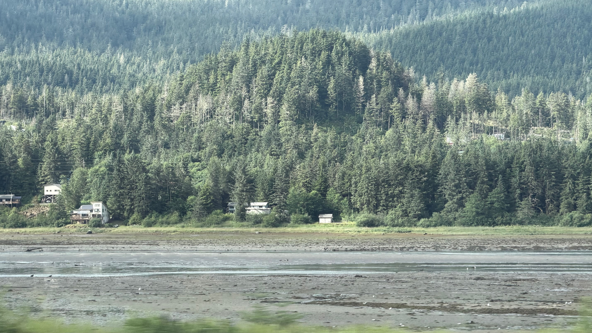 Forested shoreline and homes across broad tidal flats near Juneau