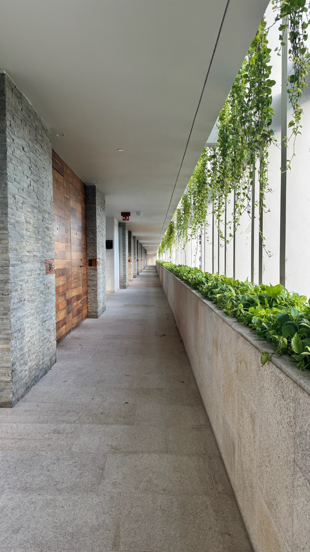 Long stone corridor edged with hanging tropical vines