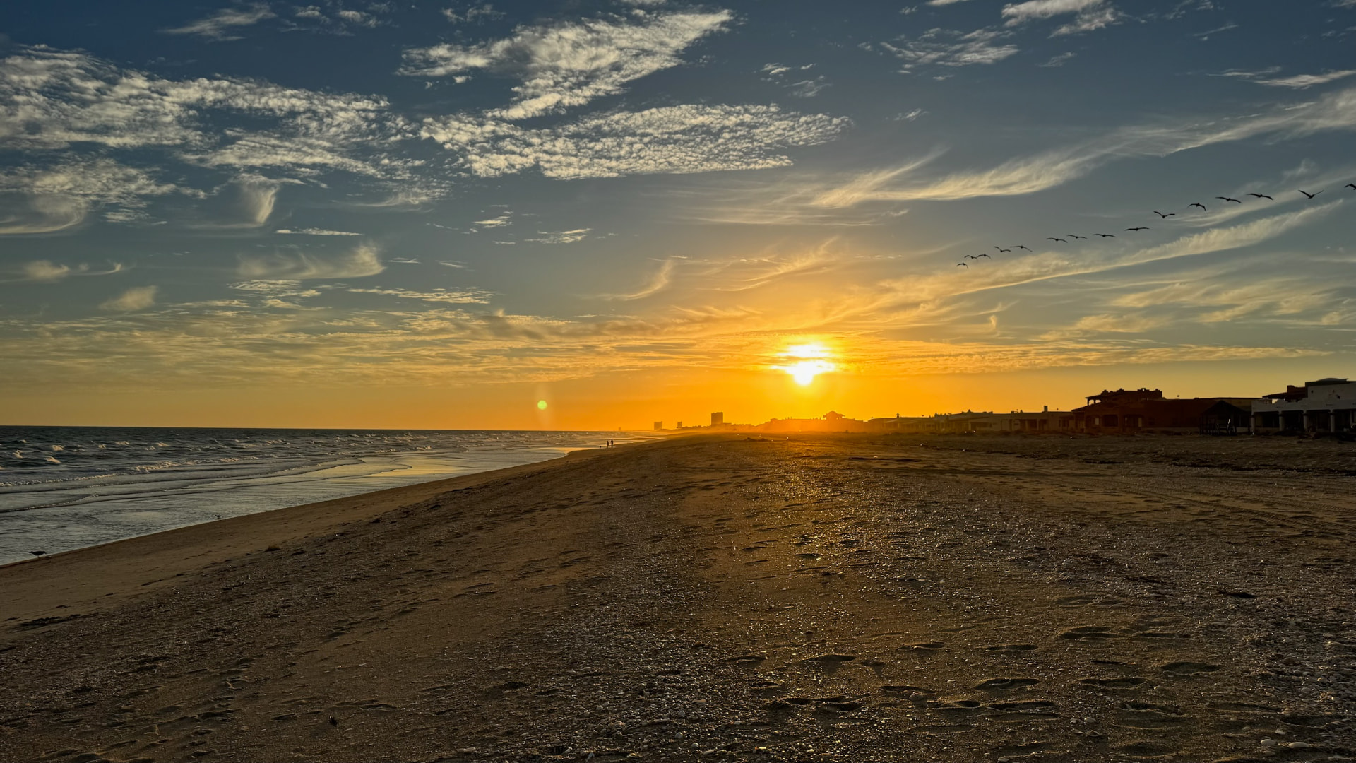 Golden sunset over a long beach with birds in flight