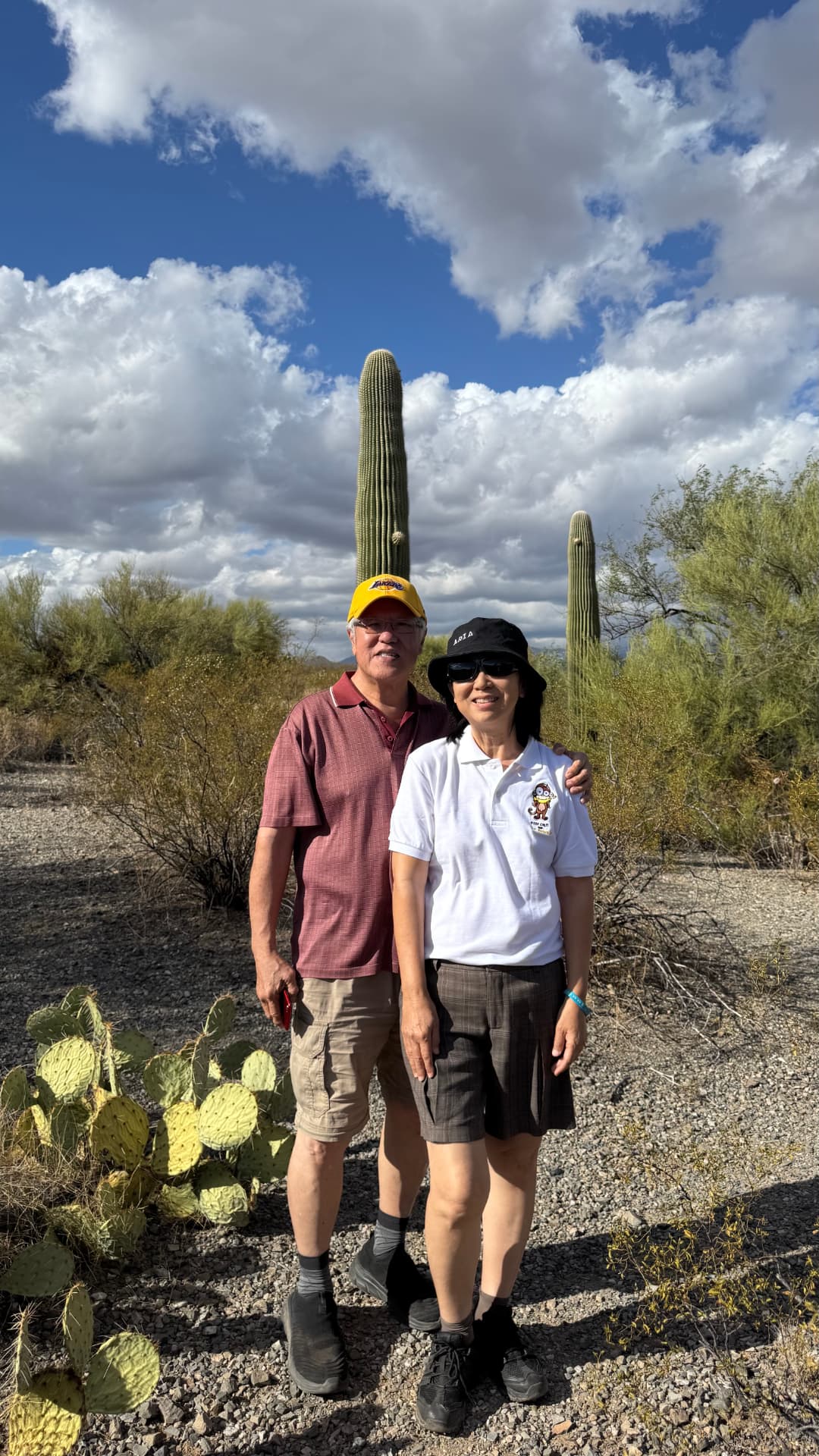 Saguaro National Park and Tucson travel photograph 17