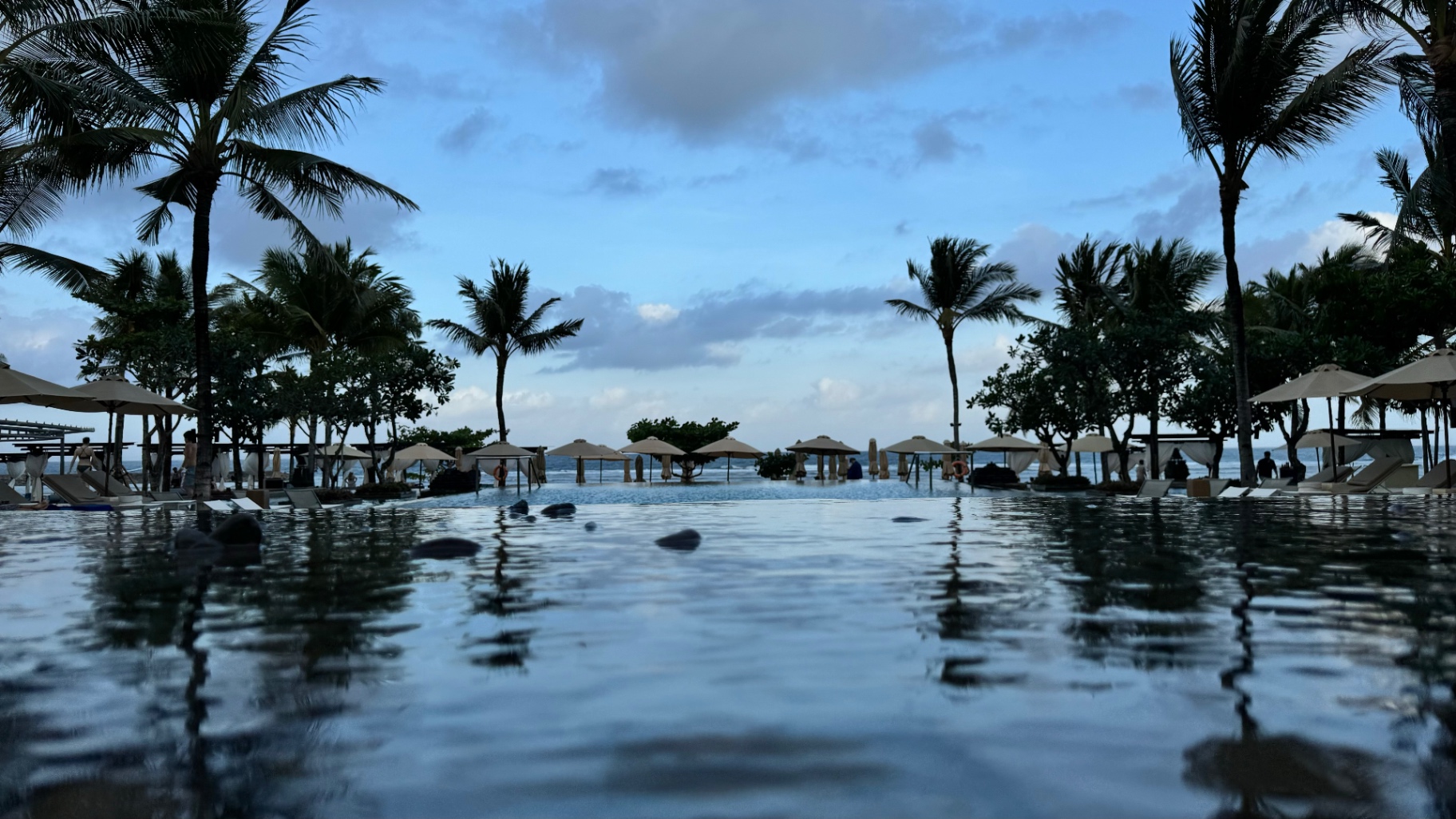 Infinity pool reflecting palm trees beside the ocean