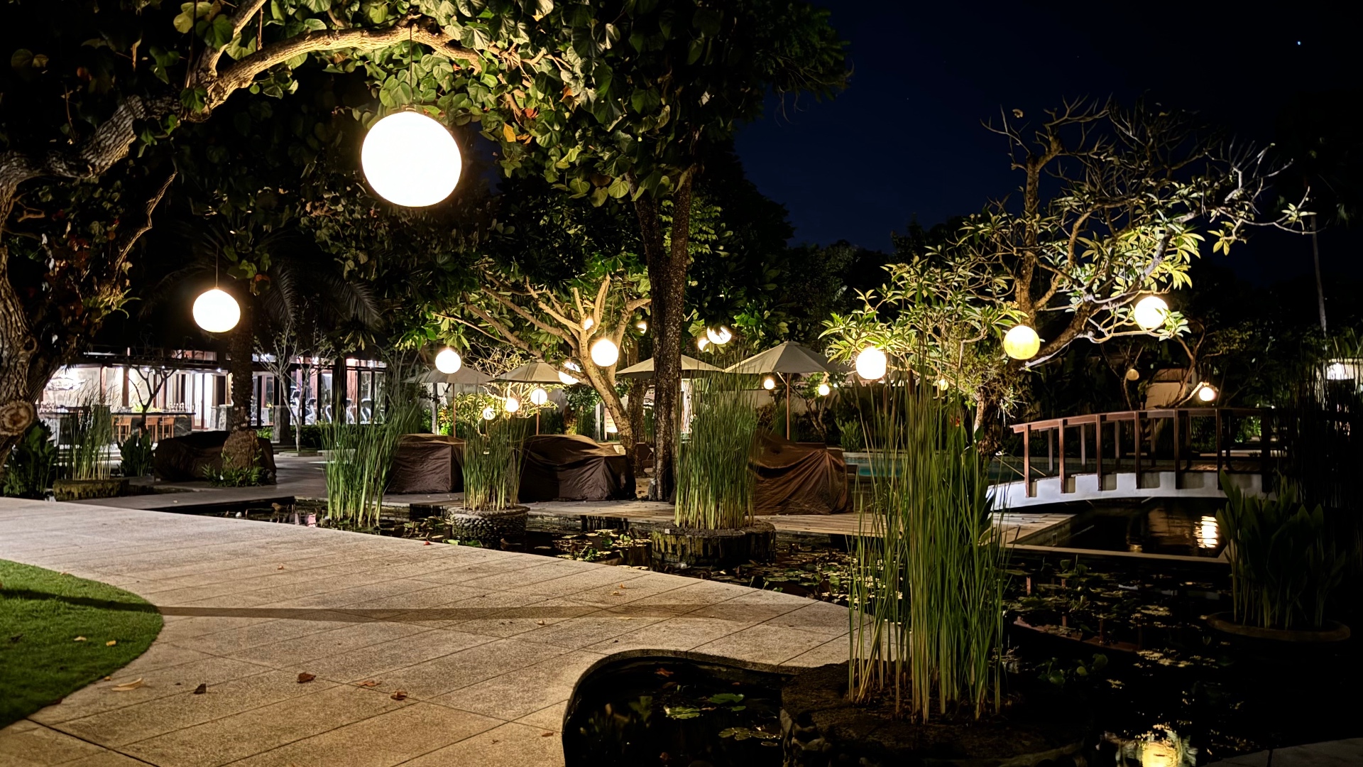 Globe lanterns hanging from trees over garden ponds and a small bridge at night