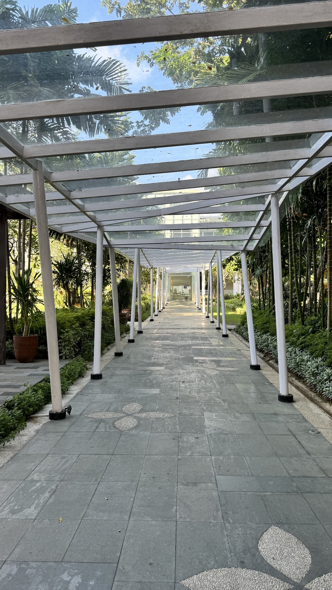 Glass-roofed walkway lined with palms and bamboo leading to the resort