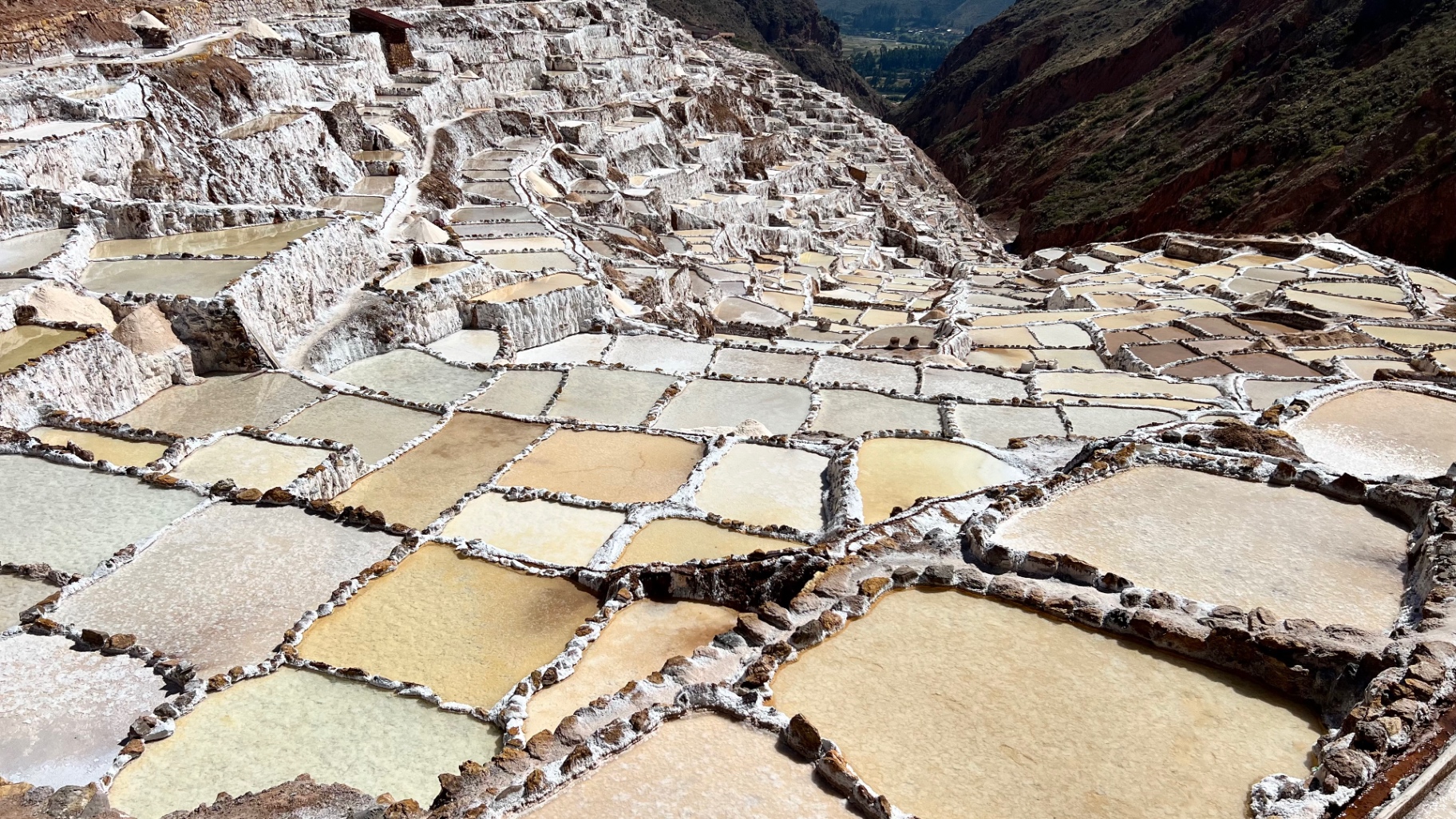 Close view of cream and amber salt pools at Maras