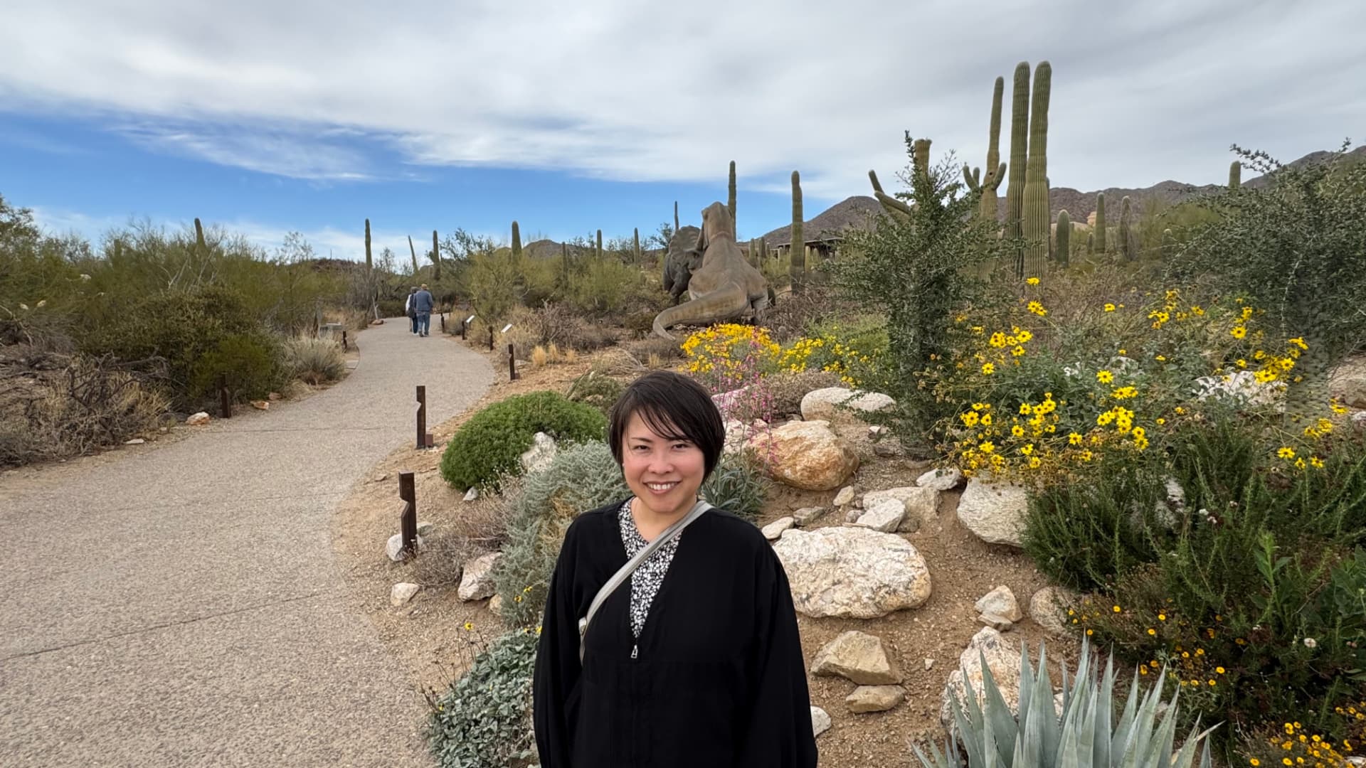 Saguaro National Park and Tucson travel photograph 27