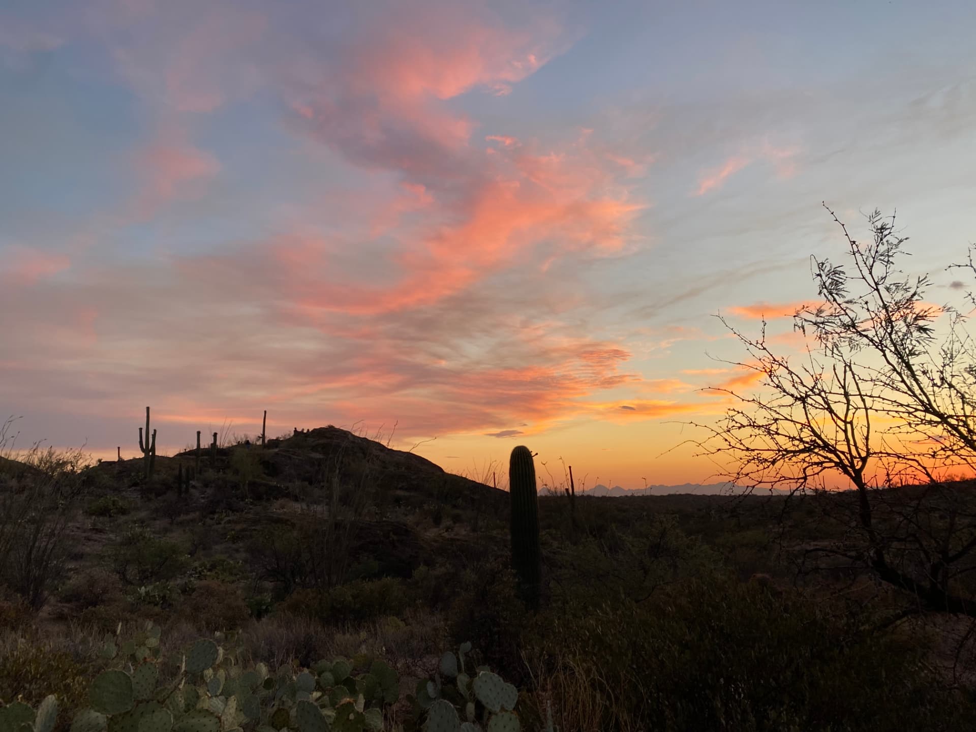 The desert after sundown