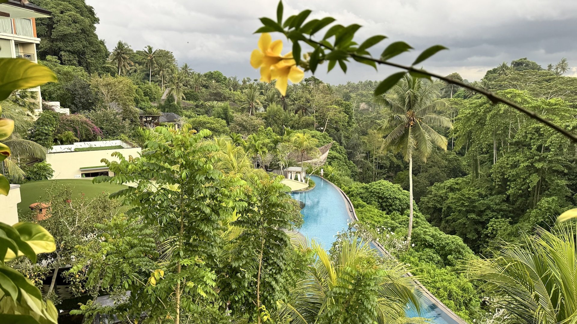 View from the room over treetops and palms to the resort's long blue pool below